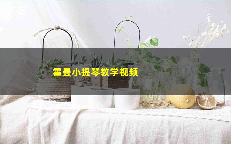霍曼小提琴教学视频