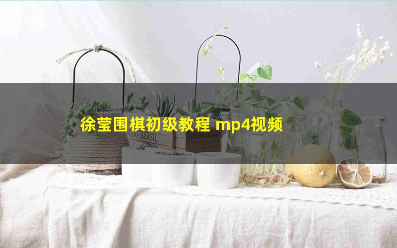 徐莹围棋初级教程 mp4视频