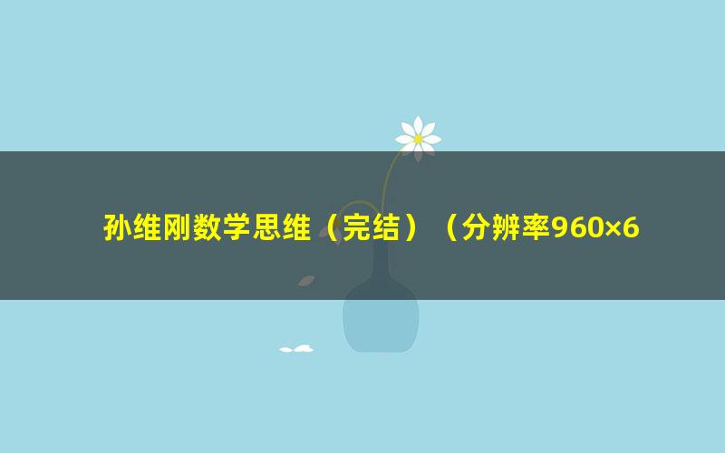 孙维刚数学思维(完结)(分辨率960×640视频)