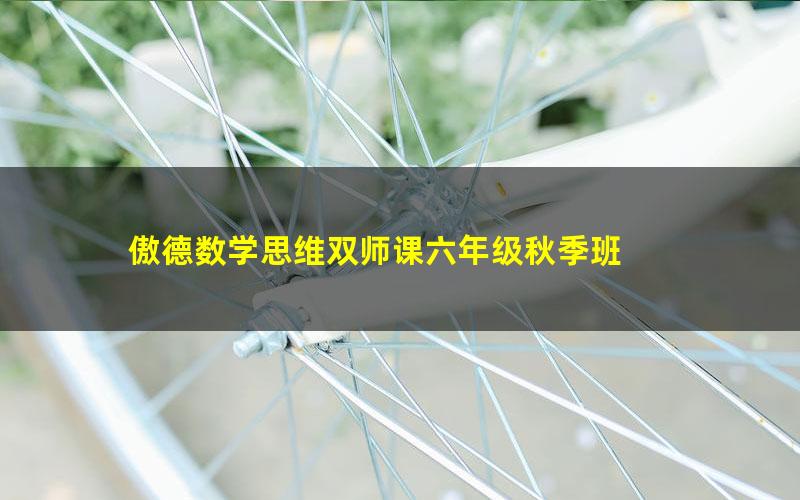 傲德数学思维双师课六年级秋季班