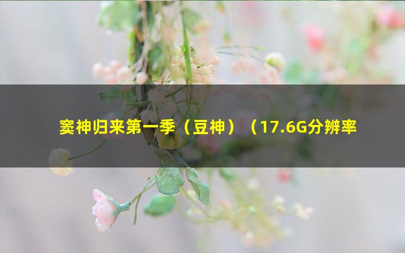 窦神归来第一季(豆神)(17.6G分辨率800×600视频)