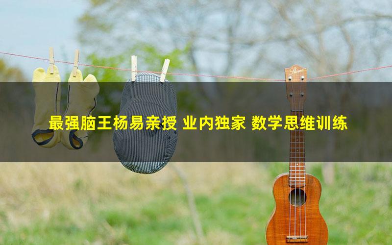 最强脑王杨易亲授 业内独家 数学思维训练营(完结)
