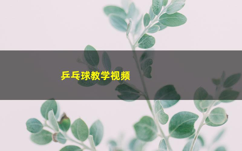 乒乓球教学视频