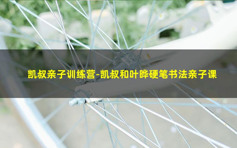 凯叔亲子训练营-凯叔和叶晔硬笔书法亲子课(超清完结打包)