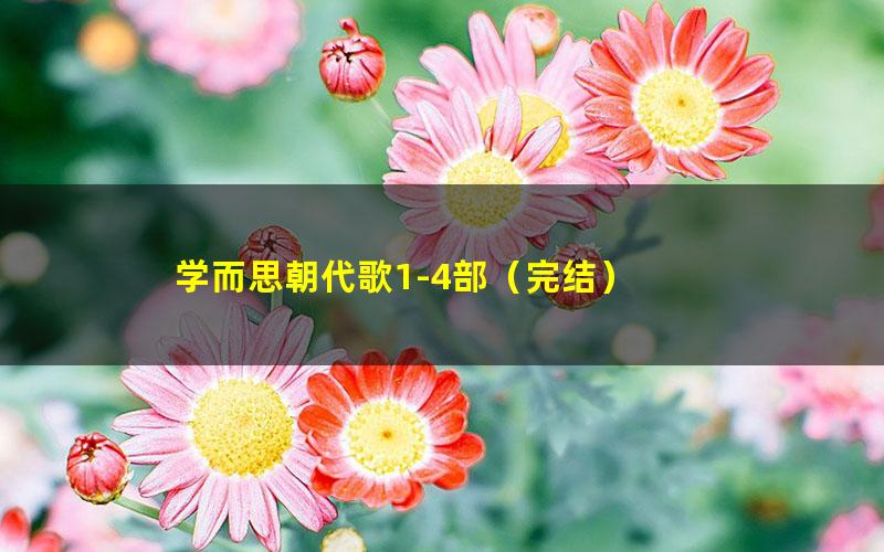 学而思朝代歌1-4部(完结)