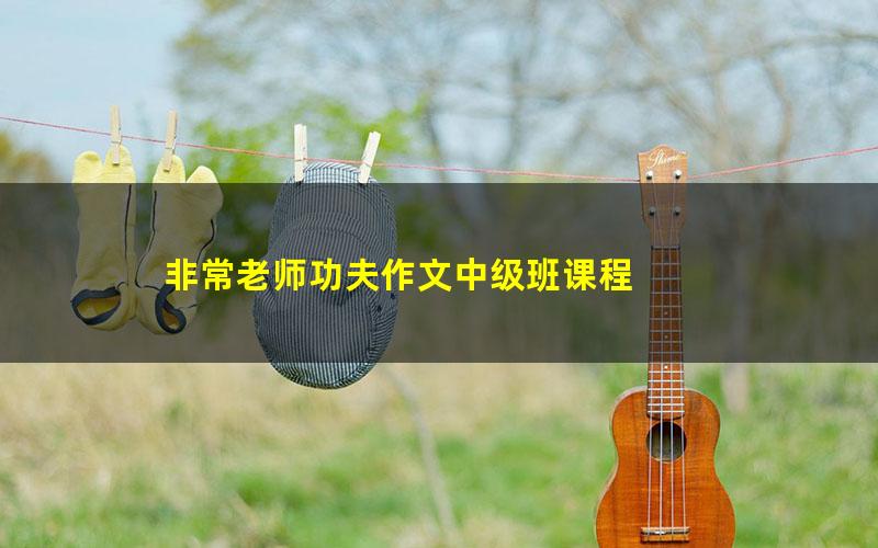 非常老师功夫作文中级班课程