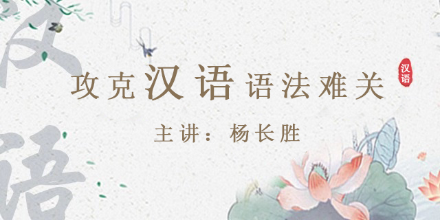 【好芳法课堂】杨长胜攻克汉语语法难关(轻松学习汉语语法)