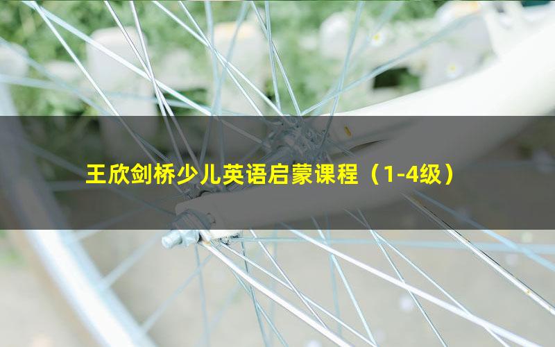 王欣剑桥少儿英语启蒙课程（1-4级）