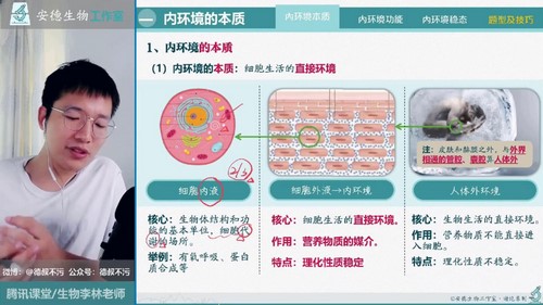 2024学年李林高二生物选择性必修1-2同步课（40.6G高清视频）