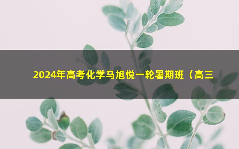 2024年高考化学马旭悦一轮暑期班(高三)(3.81G高清视频)