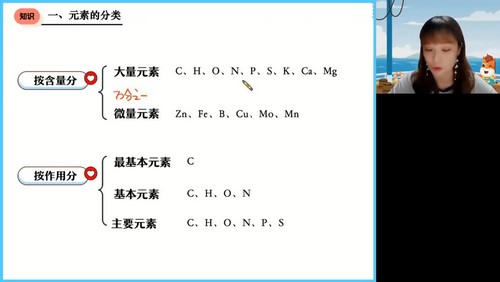 2024年高考生物段瑞莹一轮暑期班(高三)(6.79G高清视频)
