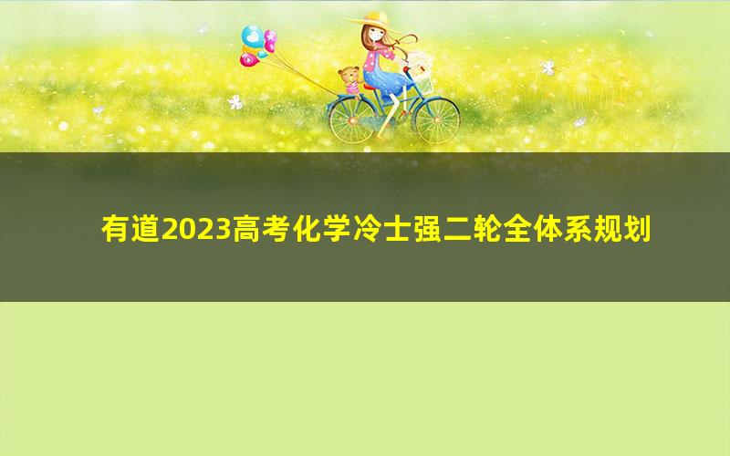 有道2023高考化学冷士强二轮全体系规划学习卡（规划服务）（高三）（14.6G高清视频）