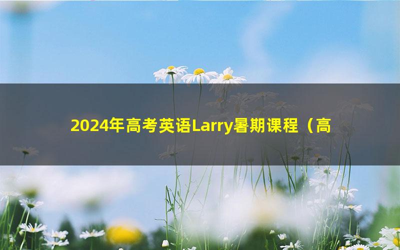 2024年高考英语Larry暑期课程(高三)(13.9G高清视频)