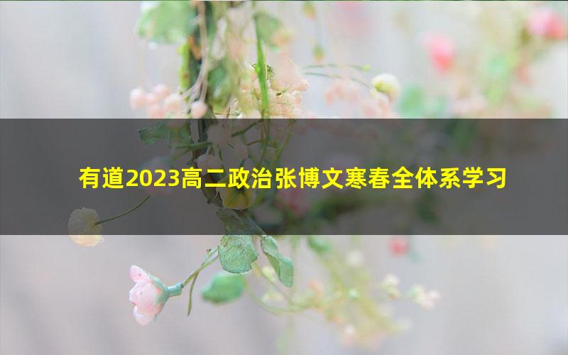 有道2023高二政治张博文寒春全体系学习卡(规划服务)(14.3G高清视频)