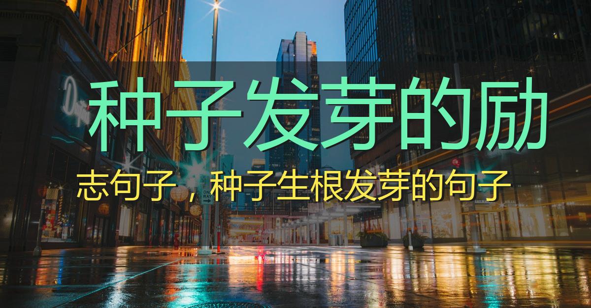 种子发芽的励志句子,种子生根发芽的句子