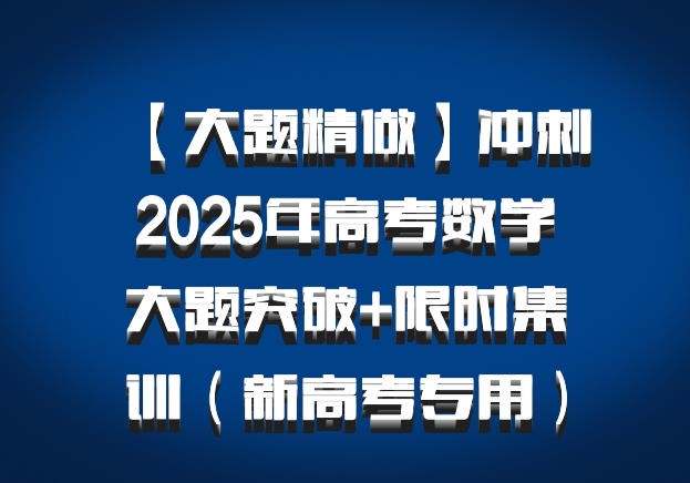 【大题精做】冲刺2025年高考数学大题突破+限时集训（新高考专用）