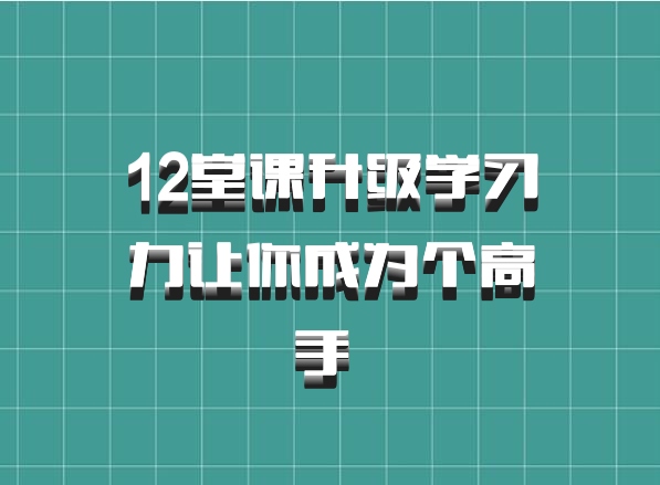 12堂课升级学习力让你成为个高手 百度网盘