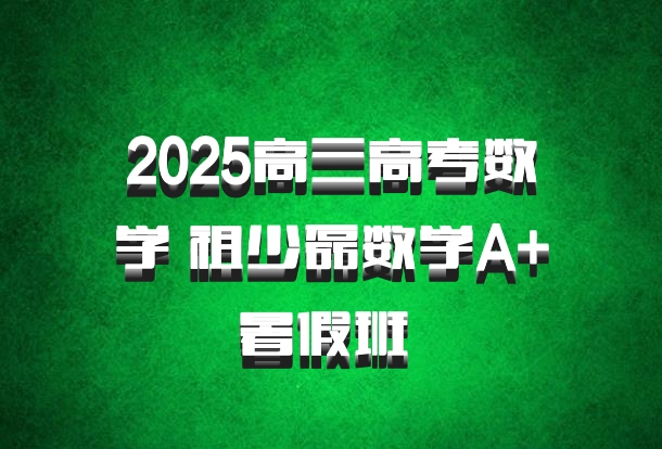 2025高三高考数学 祖少磊数学A+暑假班 百度网盘