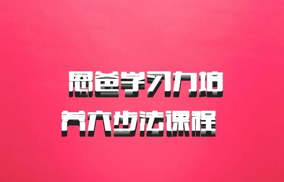  恩爸学习力培养六步法课程 百度网盘