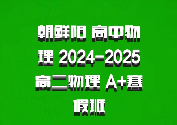 朝鲜阳 高中物理 2024-2025高二物理 A+寒假班