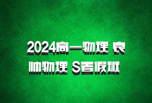 2024高一物理 袁帅物理 S暑假班 百度网盘