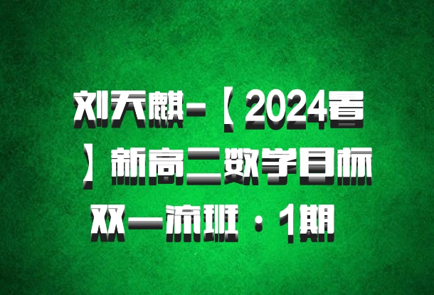 刘天麒-【2024暑】新高二数学目标双一流班·1期 百度网盘