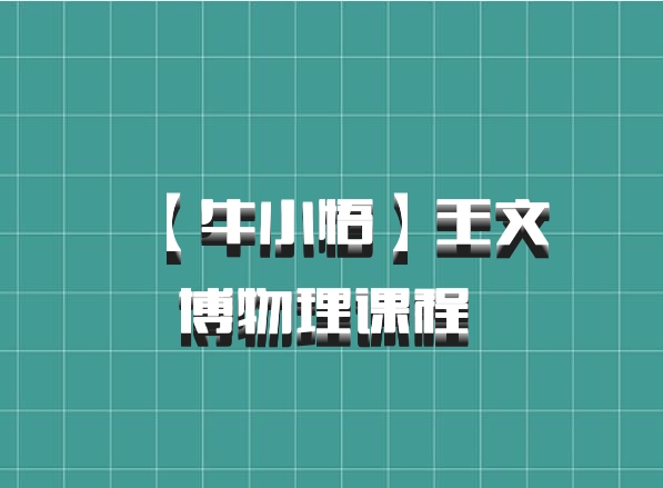 【牛小悟】王文博物理课程 百度网盘