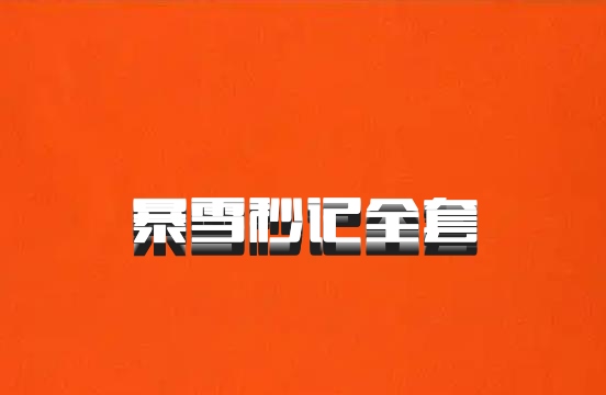 暴雪秒记全套