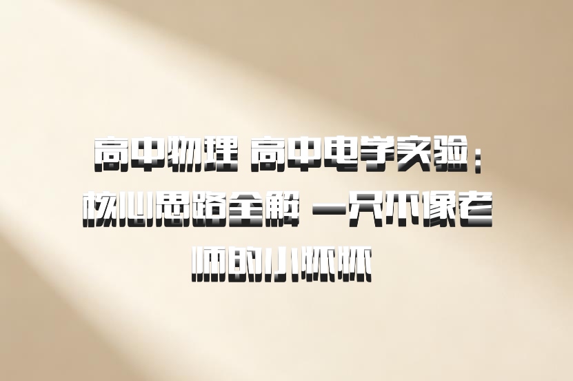 高中物理 高中电学实验：核心思路全解 一只不像老师的小怀怀 百度网盘
