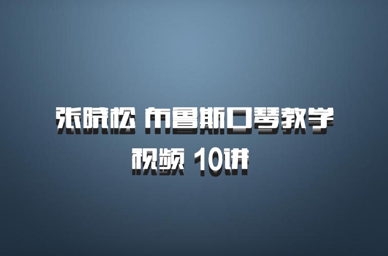 张晓松 布鲁斯口琴教学视频 10讲 百度网盘