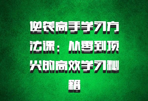 逆袭高手学习方法课：从零到顶尖的高效学习秘籍