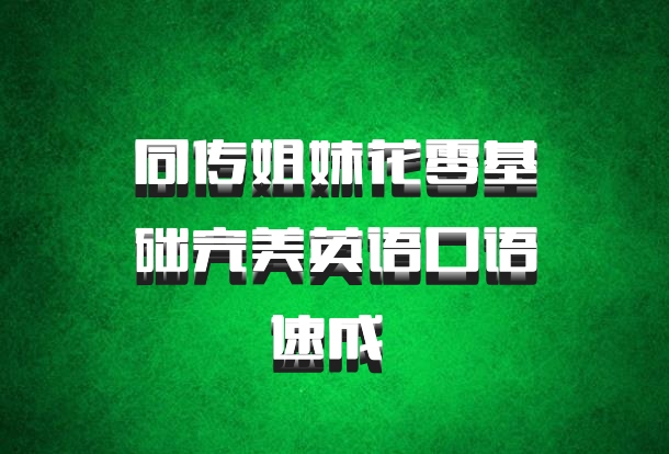 同传姐妹花零基础完美英语口语速成 百度网盘