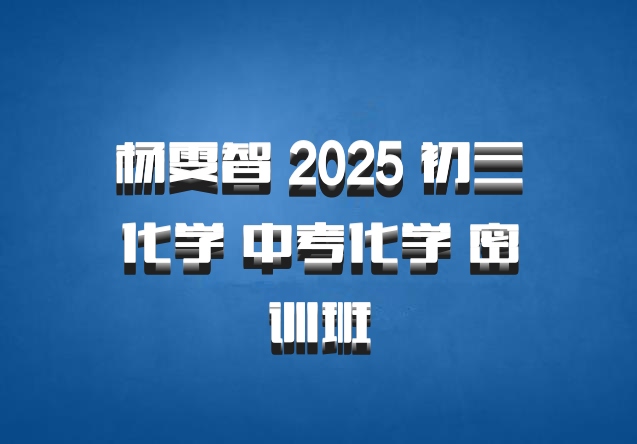 杨雯智 2025 初三化学 中考化学 密训班