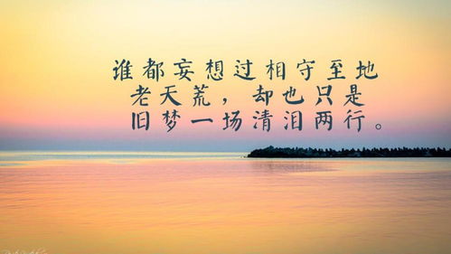 伤感诗词表达心情失落整首(表达失落与遗憾的诗词)